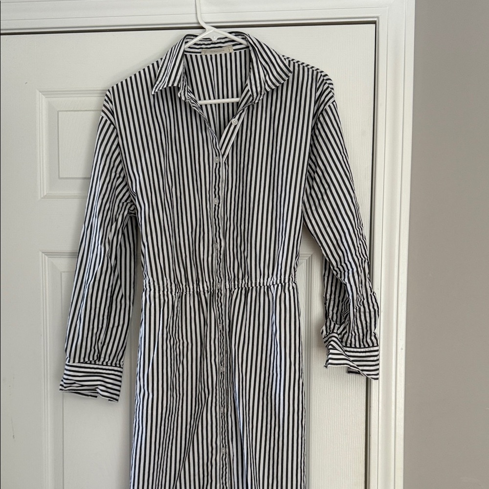 Everlane Striped Midi Dress in Black and White